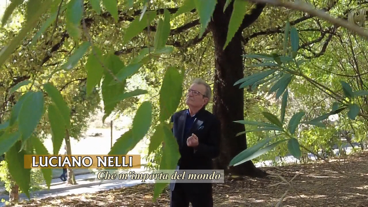Luciano Nelli - Che m'importa del mondo